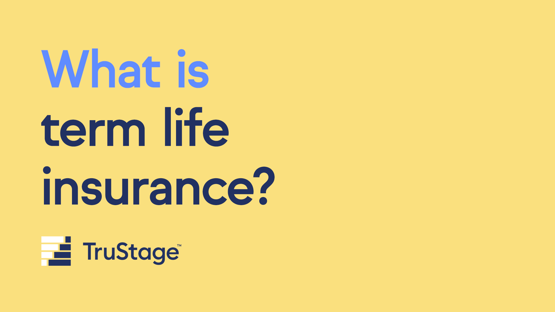 What is term life insurance explained through video