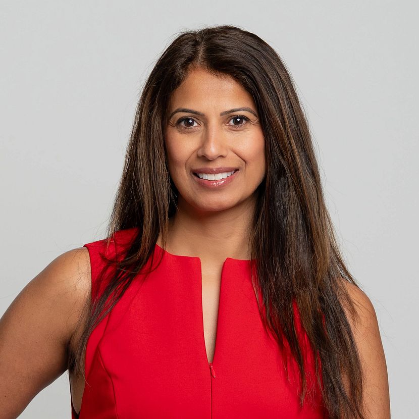 Headshot of Chams Habib.