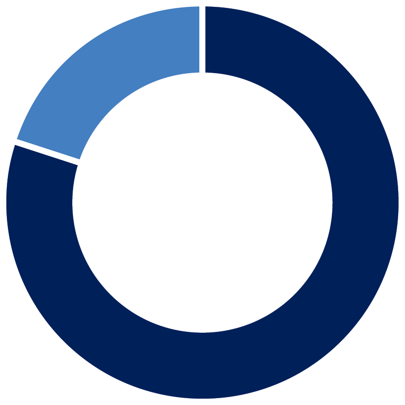 Pie chart showing 80% of members believe loans support financial wellbeing