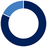 Pie chart showing 82% of members consider payment protection on next loan