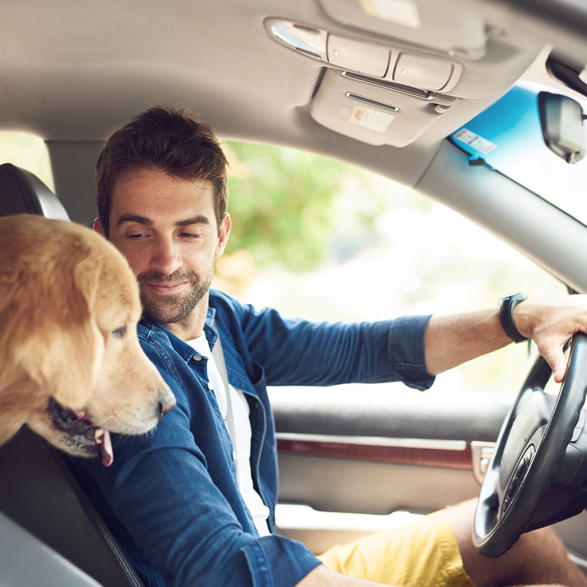 What is whole life insurance?