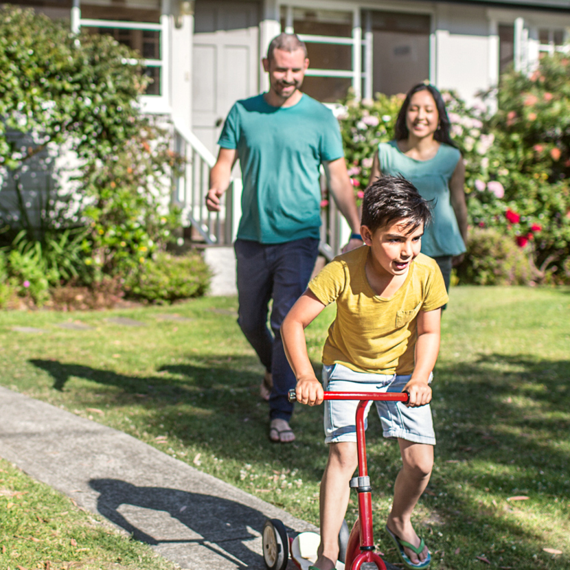 What are the differences between term and whole life insurance?