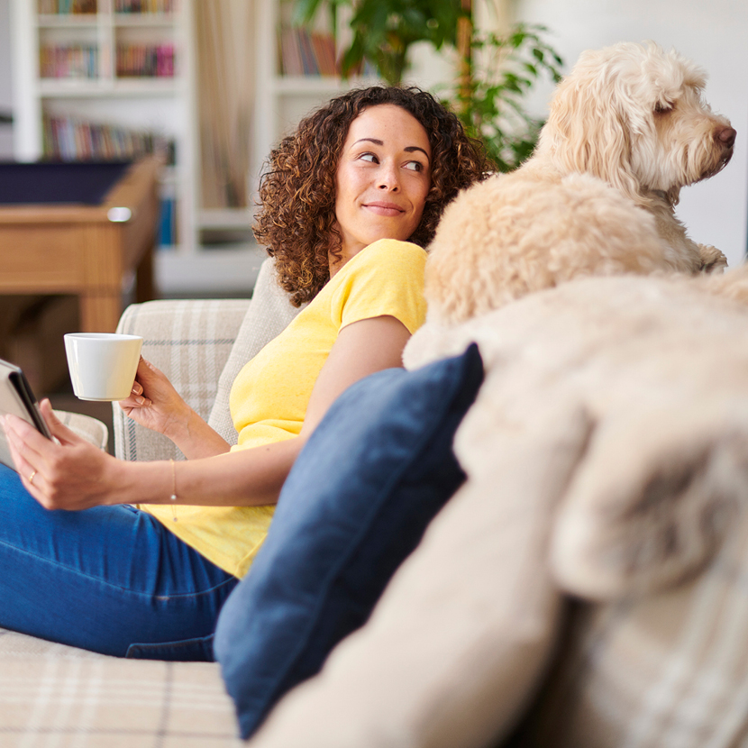 What to do when your four-legged friend does some damage