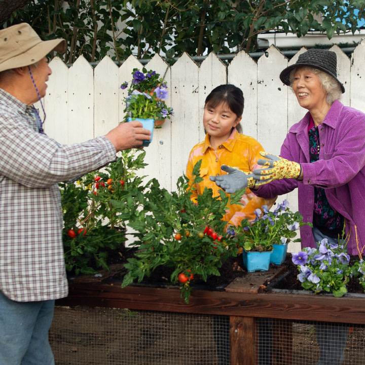 Grandparents showing their granddaughter how to garden