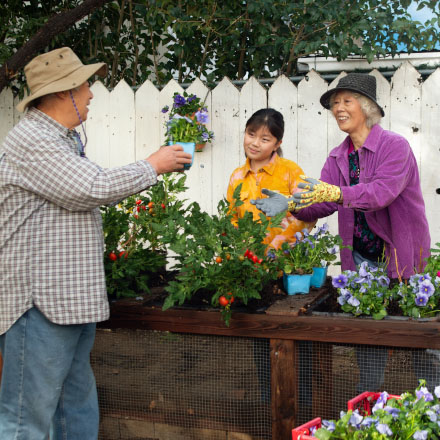 Grandparents showing their granddaughter how to garden