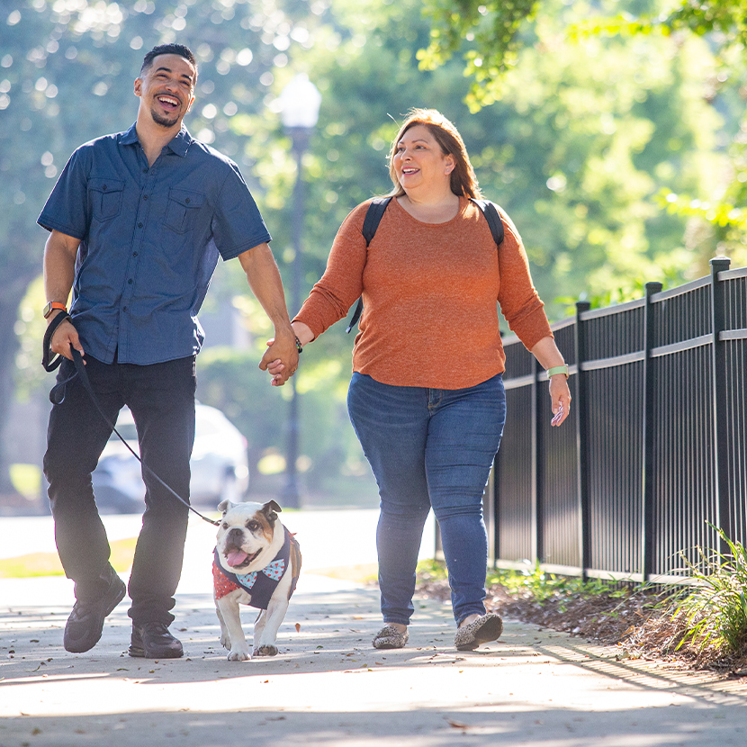 A woman and a man walking their dog together holding hands
