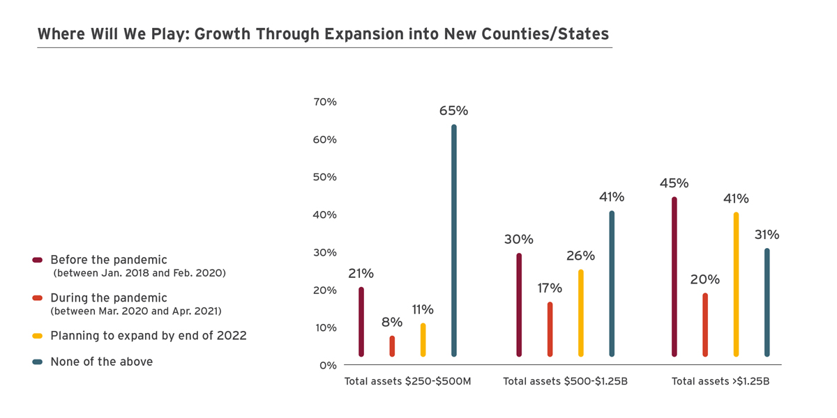 credit union strategic planning ideas Growth Through Expansion into New Counties/States Infographic