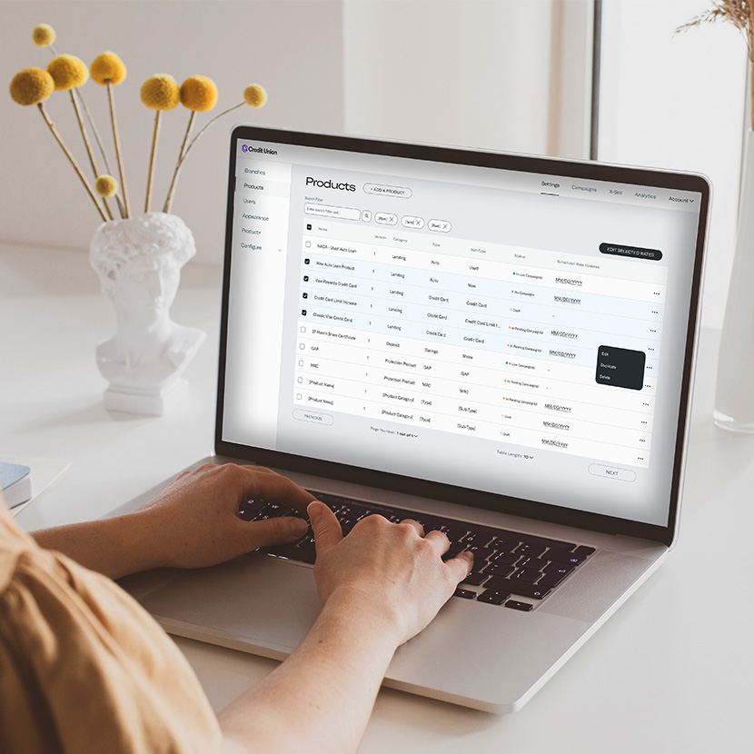A financial professional on a laptop customizes Digital Storefront campaigns to fit the individual lending needs of members.