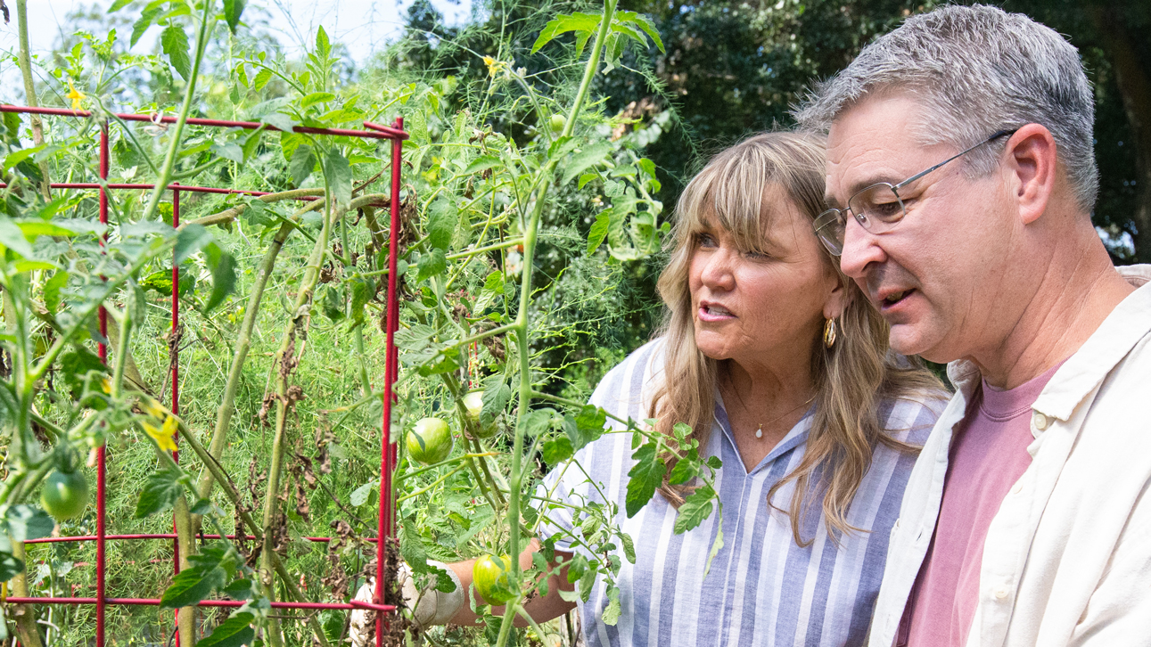 People in a garden image